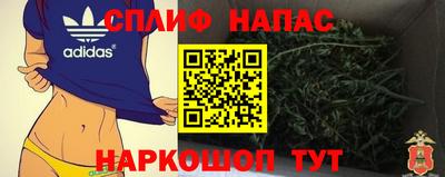 мдпв Нальчик