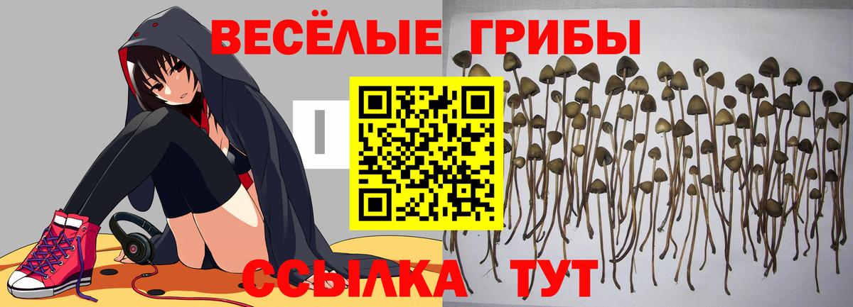 Гашиш  APVP СК   Каннабис  Мефедрон кристаллы  Вход с VPN  Сергиев Посад  Кокаин 